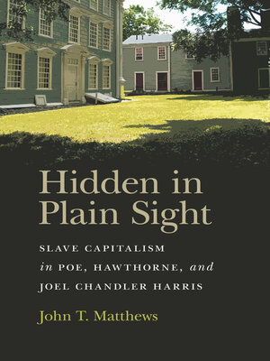 cover image of Hidden in Plain Sight